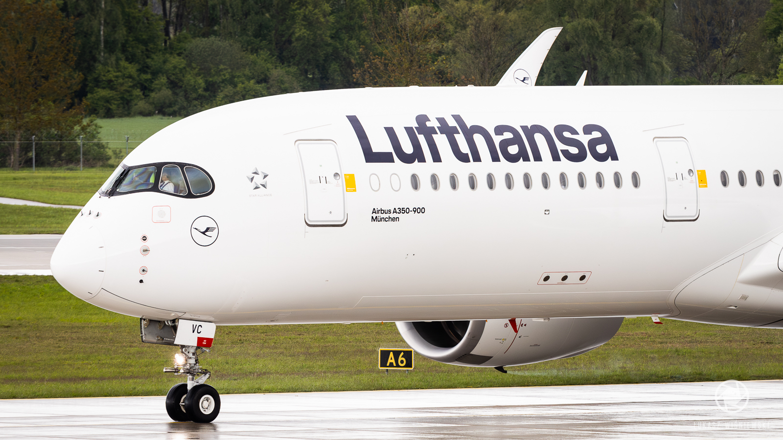 LWI_6422-Poprawione-Szum-1